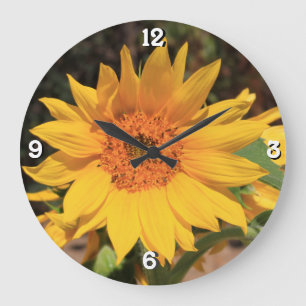 Horloge du mur de tournesol du jardin