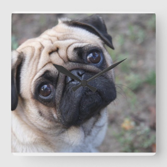 Horloge du mur du carlin (Recto)