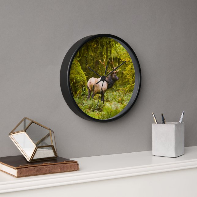 Horloge Élan Roosevelt mâle debout dans la prairie (Bureau)