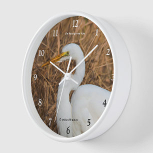 Horloge Elégant Oiseau d'écharpe d'aigrettes dans les rose