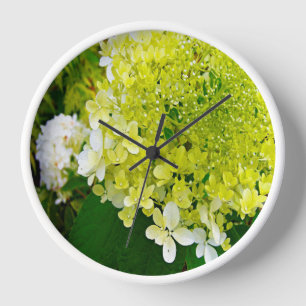 Horloge Élégante Chartreuse Vert Limelight Hydrangea