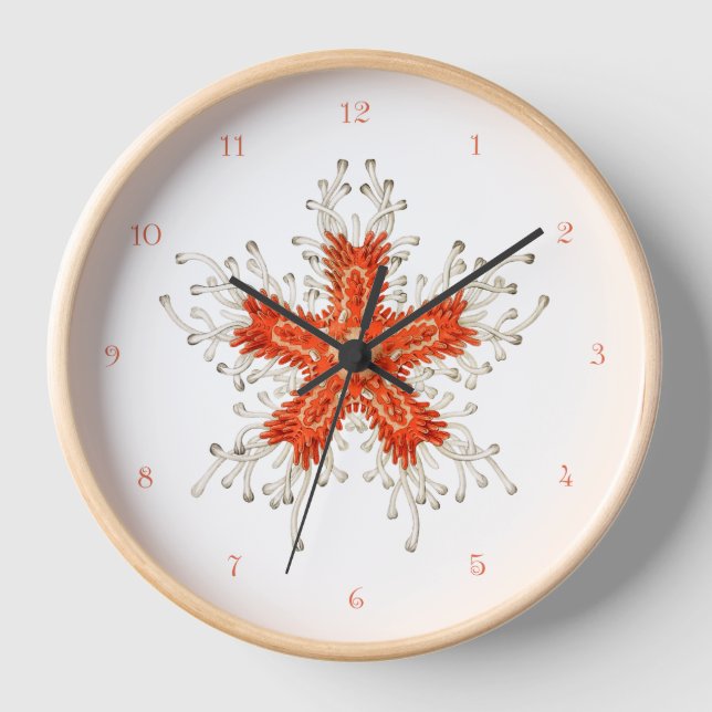 Horloge Estarfish vintage Mur (Recto)