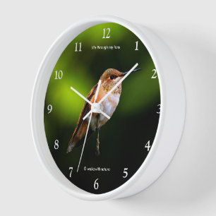 Horloge Étonnant colibri roux sur arbre fruitier