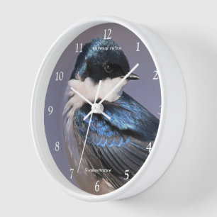 Horloge Étonnant oiseau-chanteur avale dans le soleil du p