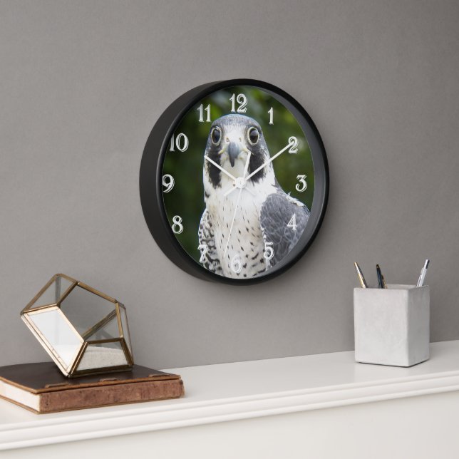 Horloge Faucon pèlerin Oiseau de proie Photo (Bureau)