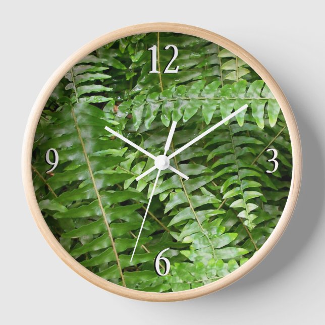Horloge Fermer Fronds I Green Nature (Recto)