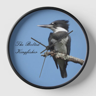 Horloge Fermeture de Belt Kingfisher