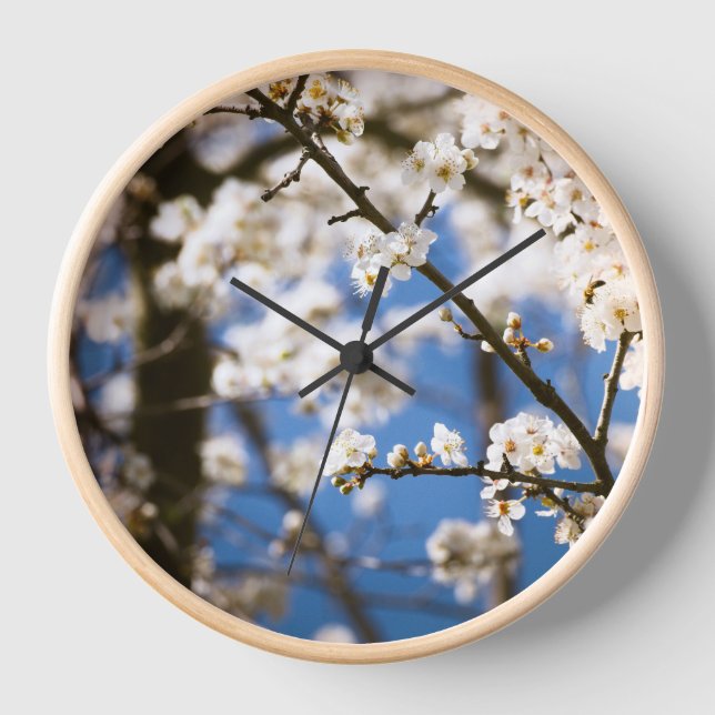 Horloge Fleur blanche fond de ciel bleu (Recto)
