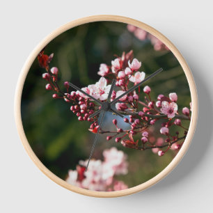 Horloge Fleur rose dans la lumière chaude de l'été