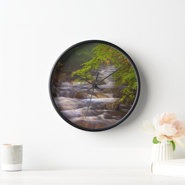 Horloge Flux le long du sentier des Appalaches (Maison)