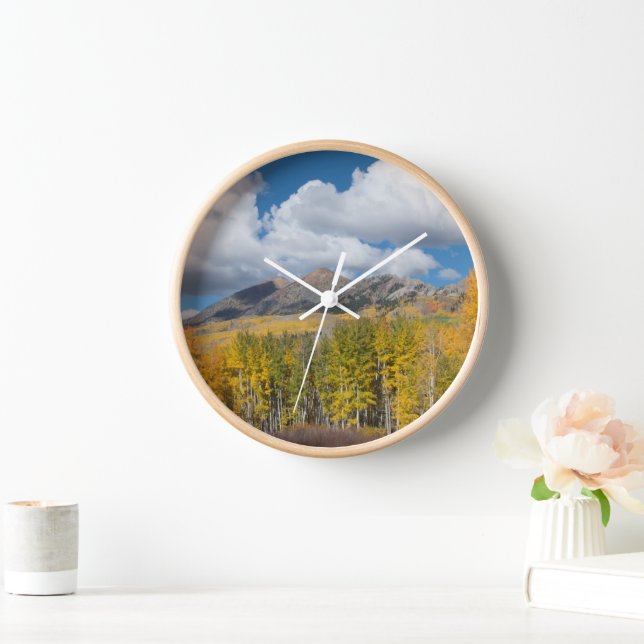 Horloge Forêt nationale de Gunnison, Colorado (Maison)