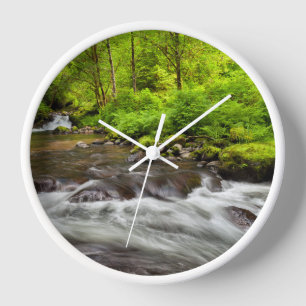 Horloge Forêt nationale de Siuslaw, ruisseau Sweet, Oregon