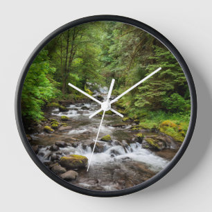 Horloge Forêt nationale de Siuslaw Sweet Creek