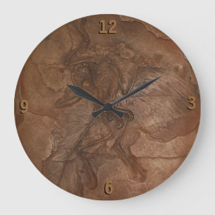 Horloge - fossile d'archéoptéryx