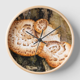 HORLOGE FUNGI