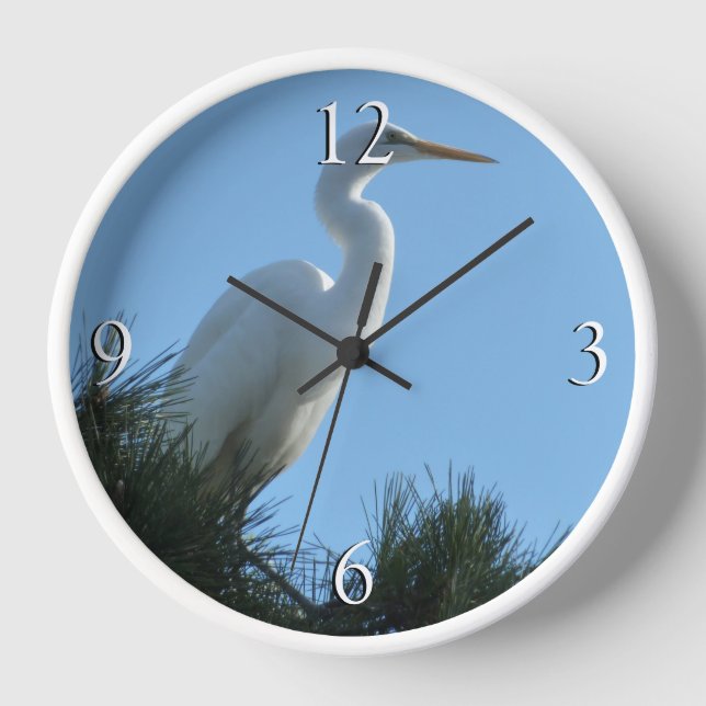 Horloge Grande Aigrette en Floride ensoleillée (Recto)