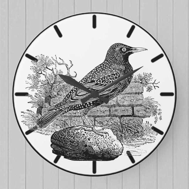 Horloge grande de l'étourneau oiseau britannique (Créateur téléchargé)