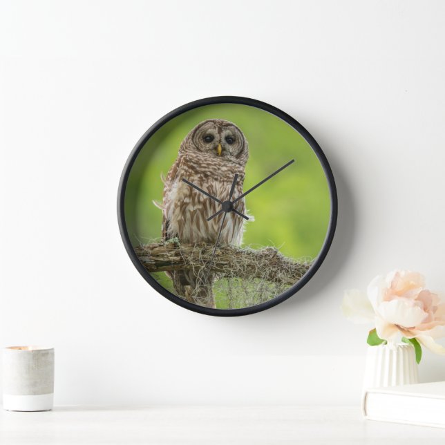 Horloge Hibou rayé sur branche d'arbre (Maison)