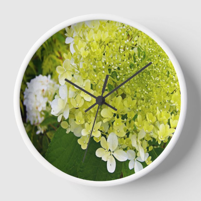 Horloge Hydrangea Élégant Chartreuse Vert Limelight (Recto)