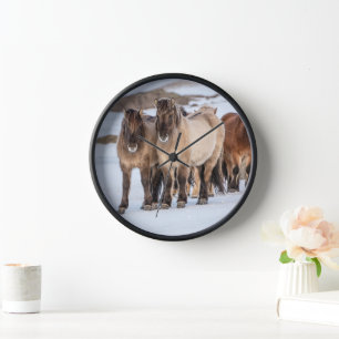 Horloge Icelandic Horses in Winter Near Hofn, Iceland