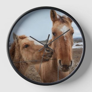 Horloge Jument et poulain