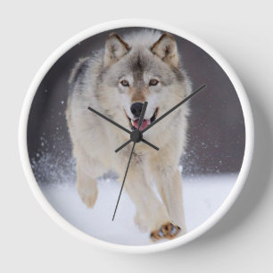 Horloge Loup de Yellowstone