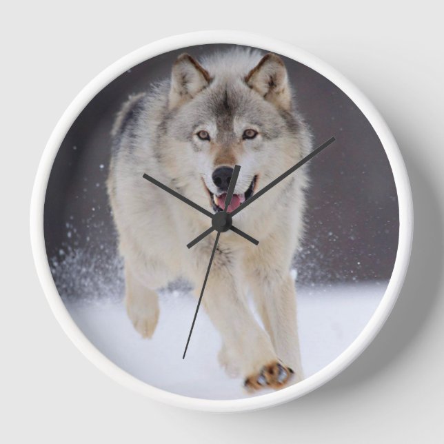 Horloge Loup de Yellowstone (Recto)