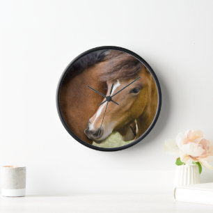 Horloge Mare Et Colt