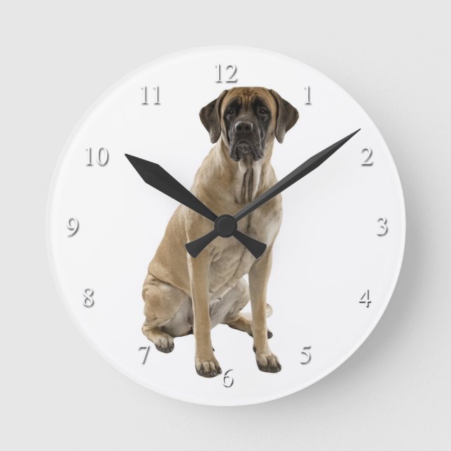 Horloge Mastiff (Recto)
