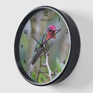 Horloge Merveilleux colibri d'Anna masculine sur le prunie