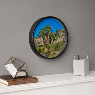Horloge Monument national de Gold Butte