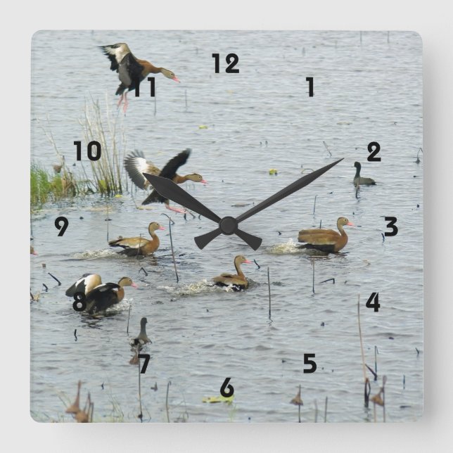 Horloge murale acrylique des canards (Recto)