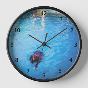 Horloge murale acrylique du chien de natation