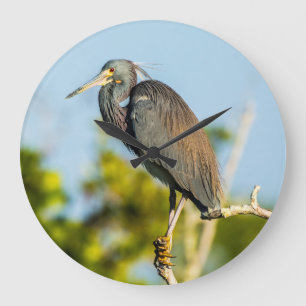 Horloge murale acrylique parfaite d'oiseau, ronde