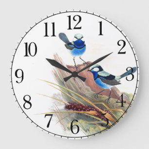 Horloge murale bleue d'animaux de faune d'oiseaux