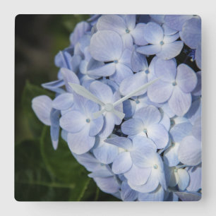 Horloge murale Blue Hydrangea