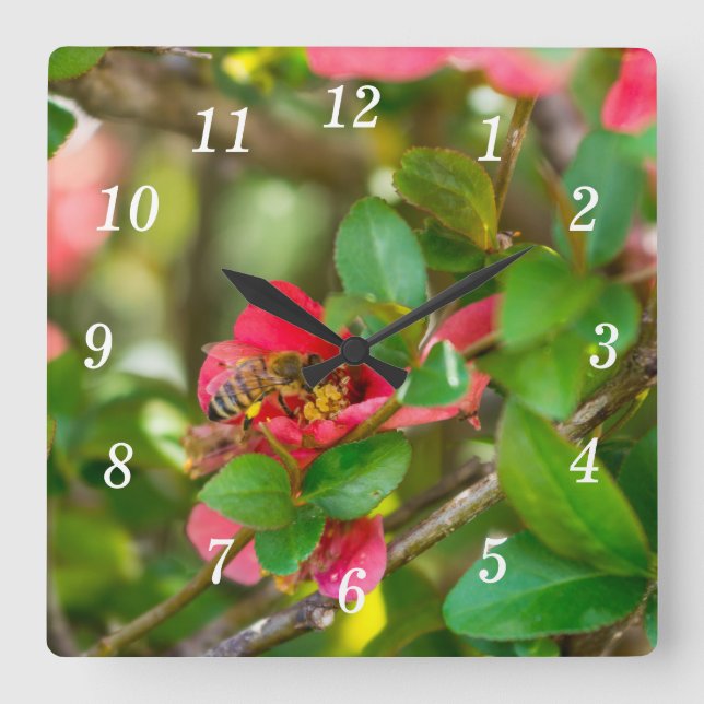 Horloge Murale Bumblebebe Et Azalea (Recto)
