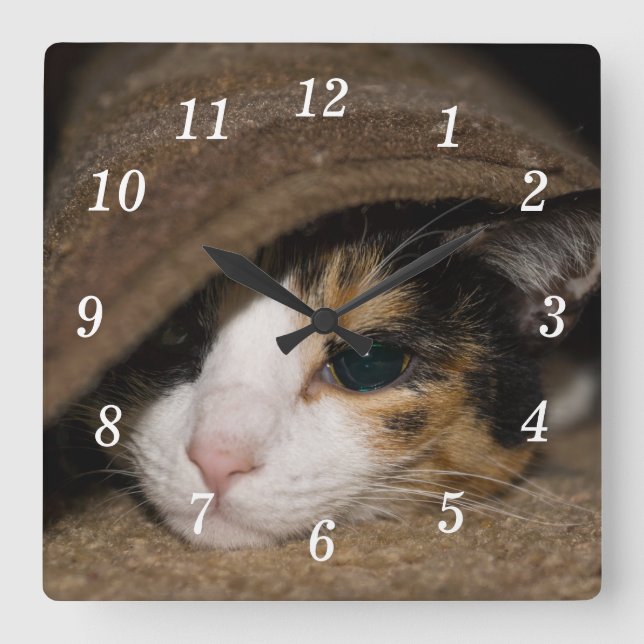 Horloge murale Calico Taco (Recto)