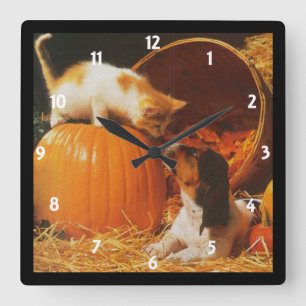 Horloge murale chaton, Citrouille et chiot