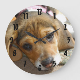 Horloge murale chiot Beagle
