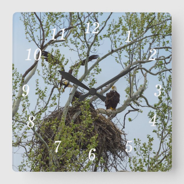 Horloge murale Daddy (Recto)