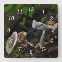 Horloge murale de beauté