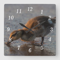 Horloge murale de bébé soif