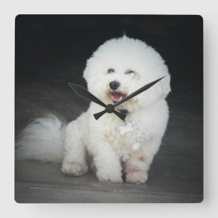 Horloge murale de Bischon