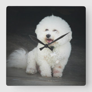 Horloge murale de Bischon