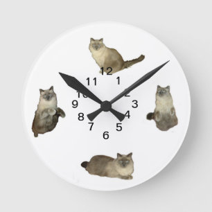 Horloge murale de chats siamois