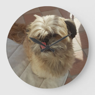 Horloge murale de chien de Shih Tzu