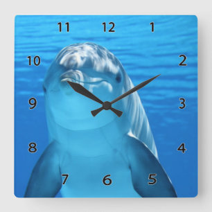 Horloge murale de dauphin