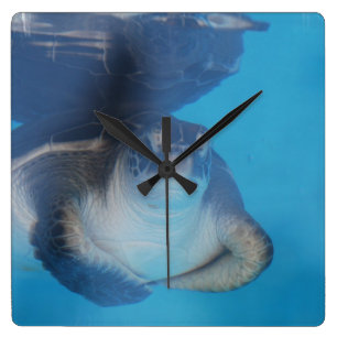 Horloge murale de la petite tortue de mer