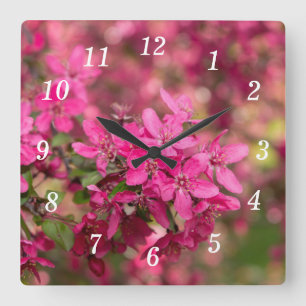 Horloge murale de la pomme de crabe
